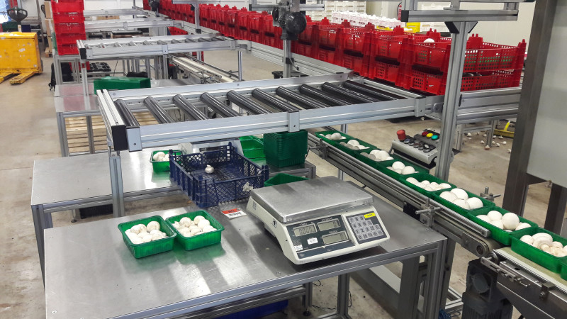 smart-production-line-efficiency-system
